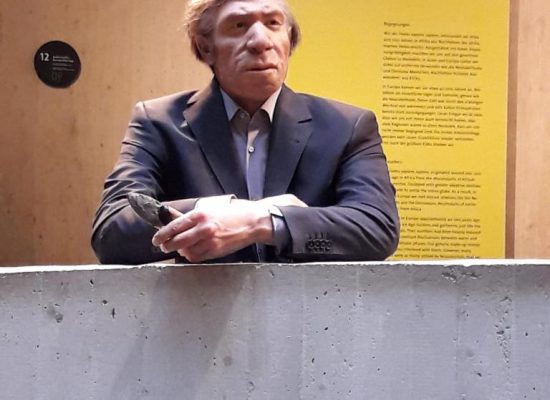 Die Biologie Leistungskurse der Q2 im Neandertal