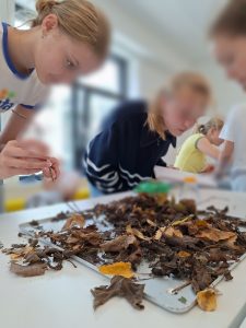 Laubstreu – Das große Krabbeln